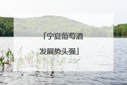宁夏葡萄酒发展势头强