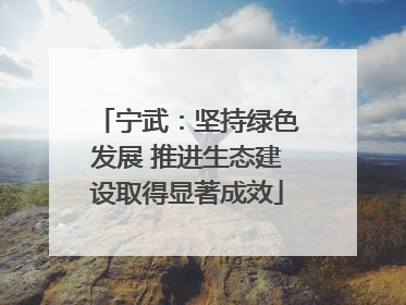 宁武：坚持绿色发展 推进生态建设取得显著成效