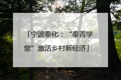 宁波奉化：“奉菁学堂”激活乡村新经济
