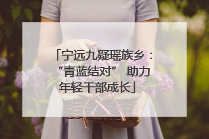 宁远九疑瑶族乡：“青蓝结对” 助力年轻干部成长
