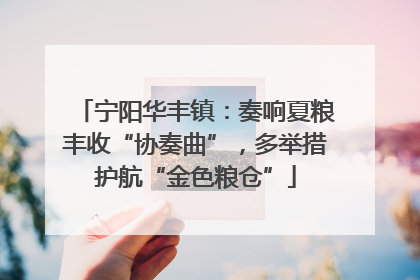 宁阳华丰镇：奏响夏粮丰收“协奏曲”，多举措护航“金色粮仓”