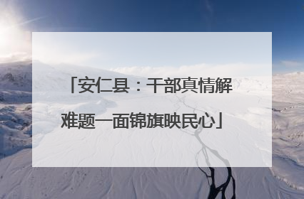 安仁县：干部真情解难题一面锦旗映民心