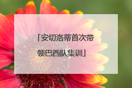 安切洛蒂首次带领巴西队集训