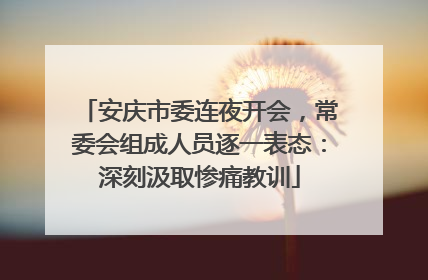安庆市委连夜开会，常委会组成人员逐一表态：深刻汲取惨痛教训