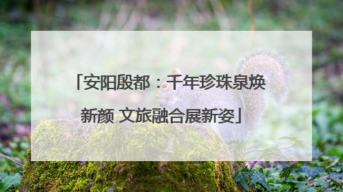 安阳殷都：千年珍珠泉焕新颜 文旅融合展新姿