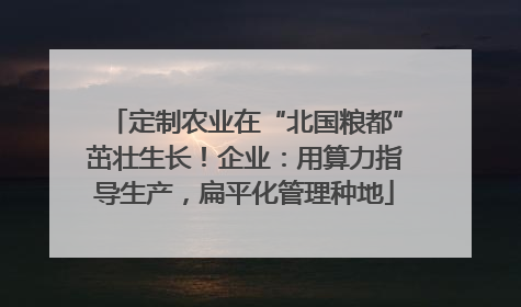 定制农业在“北国粮都”茁壮生长！企业：用算力指导生产，扁平化管理种地