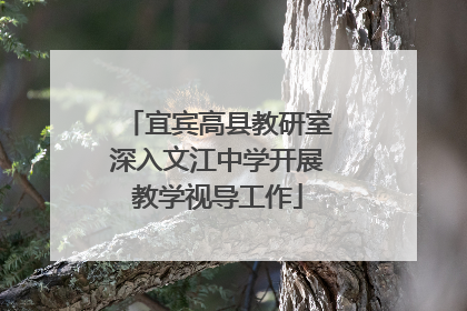 宜宾高县教研室深入文江中学开展教学视导工作