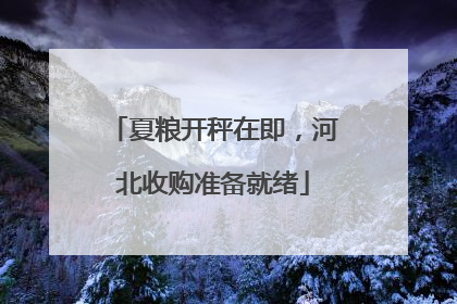 夏粮开秤在即，河北收购准备就绪