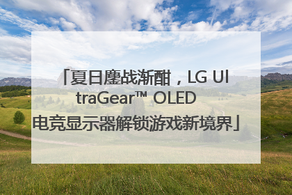 夏日鏖战渐酣，LG UltraGear™ OLED电竞显示器解锁游戏新境界