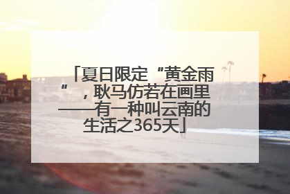 夏日限定“黄金雨”，耿马仿若在画里——有一种叫云南的生活之365天
