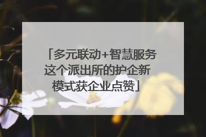 多元联动+智慧服务 这个派出所的护企新模式获企业点赞