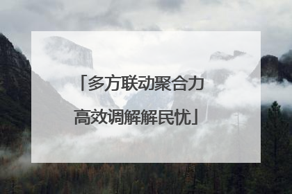多方联动聚合力 高效调解解民忧