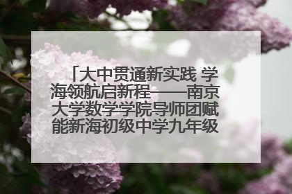 大中贯通新实践 学海领航启新程——南京大学数学学院导师团赋能新海初级中学九年级学子生涯规划