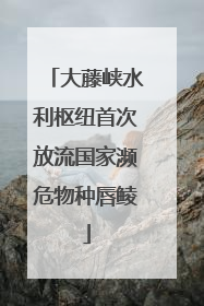 大藤峡水利枢纽首次放流国家濒危物种唇鲮