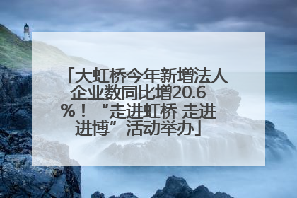 大虹桥今年新增法人企业数同比增20.6%！“走进虹桥 走进进博”活动举办