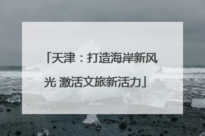 天津：打造海岸新风光 激活文旅新活力