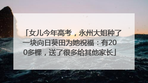 女儿今年高考，永州大姐种了一块向日葵田为她祝福：有200多棵，送了很多给其他家长