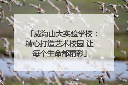 威海山大实验学校：精心打造艺术校园 让每个生命都精彩