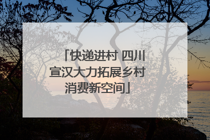 快递进村 四川宣汉大力拓展乡村消费新空间