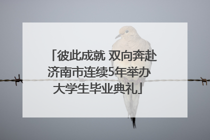 彼此成就 双向奔赴 济南市连续5年举办大学生毕业典礼