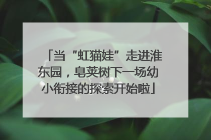 当“虹猫娃”走进淮东园，皂荚树下一场幼小衔接的探索开始啦