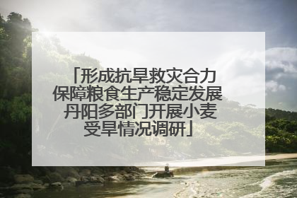 形成抗旱救灾合力 保障粮食生产稳定发展 丹阳多部门开展小麦受旱情况调研