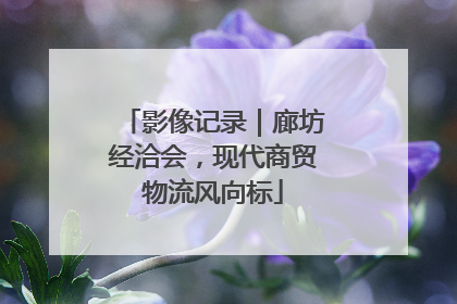 影像记录｜廊坊经洽会，现代商贸物流风向标
