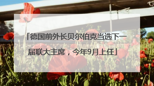 德国前外长贝尔伯克当选下一届联大主席，今年9月上任
