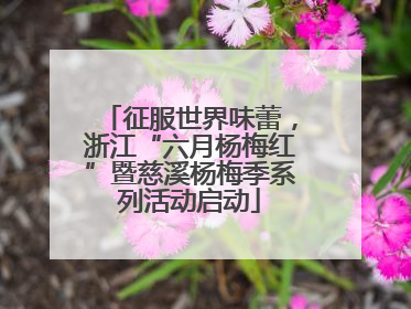 征服世界味蕾，浙江“六月杨梅红”暨慈溪杨梅季系列活动启动