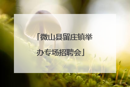 微山县留庄镇举办专场招聘会