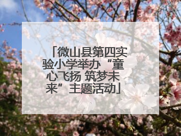 微山县第四实验小学举办“童心飞扬 筑梦未来”主题活动