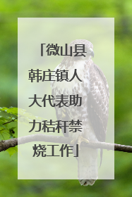 微山县韩庄镇人大代表助力秸秆禁烧工作