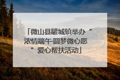微山县驩城镇举办“浓情端午·圆梦微心愿”爱心帮扶活动