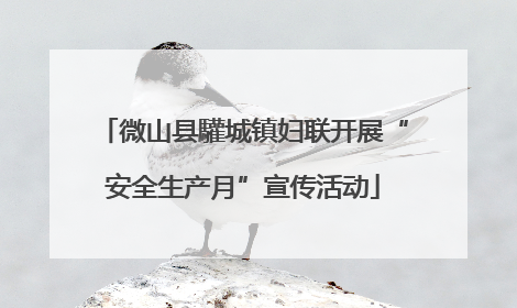 微山县驩城镇妇联开展“安全生产月”宣传活动