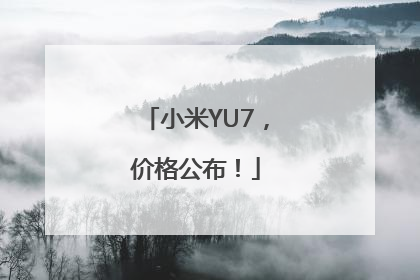 小米YU7，价格公布！