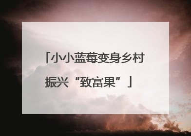 小小蓝莓变身乡村振兴“致富果”