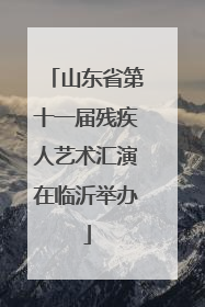 山东省第十一届残疾人艺术汇演在临沂举办