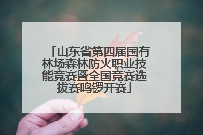 山东省第四届国有林场森林防火职业技能竞赛暨全国竞赛选拔赛鸣锣开赛