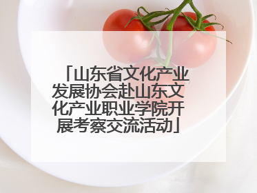 山东省文化产业发展协会赴山东文化产业职业学院开展考察交流活动