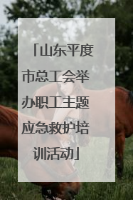 山东平度市总工会举办职工主题应急救护培训活动