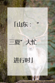 山东：“三夏”大忙进行时