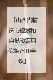 山西省临汾市规划和自然资源局党组召开会议