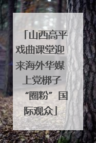 山西高平戏曲课堂迎来海外华媒 上党梆子“圈粉”国际观众