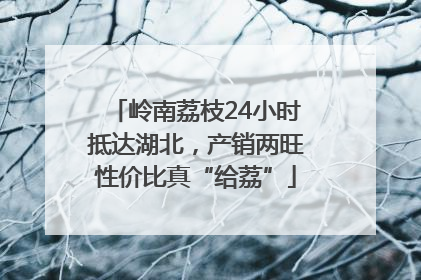 岭南荔枝24小时抵达湖北，产销两旺性价比真“给荔”