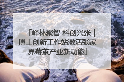 峰林聚智 科创兴张｜博士创新工作站激活张家界莓茶产业新动能