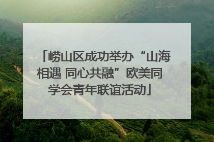 崂山区成功举办“山海相遇 同心共融”欧美同学会青年联谊活动