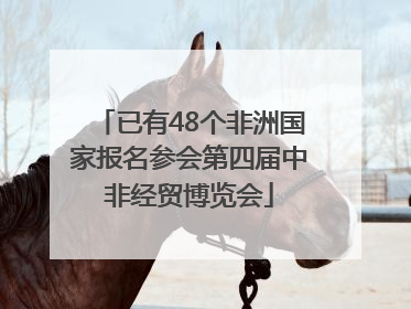 已有48个非洲国家报名参会第四届中非经贸博览会
