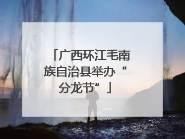 广西环江毛南族自治县举办“分龙节”