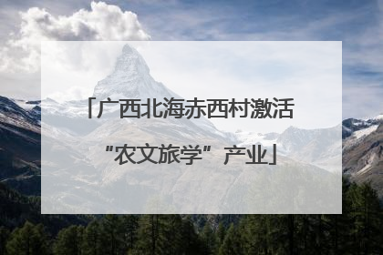 广西北海赤西村激活“农文旅学”产业