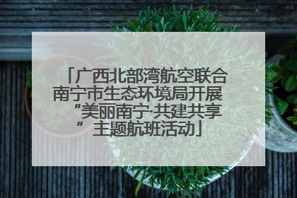 广西北部湾航空联合南宁市生态环境局开展“美丽南宁·共建共享”主题航班活动